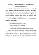 Referāts 'SVID analīze un tās izmantošana koučingā', 3.