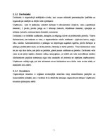 Referāts 'Viesnīcas "Raijo" iekšējās un ārējās vides organizācija, SWOT analīze', 5.