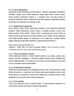 Referāts 'Viesnīcas "Raijo" iekšējās un ārējās vides organizācija, SWOT analīze', 8.