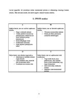 Referāts 'Viesnīcas "Raijo" iekšējās un ārējās vides organizācija, SWOT analīze', 9.