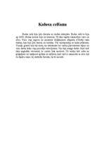 Konspekts 'Rodas koloss', 2.