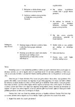 Konspekts 'Sociālās zinības, stundas plāns', 2.