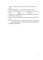 Diplomdarbs 'Jauniešu nodarbinātības problēmas Latvijā', 55.