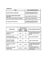 Paraugs 'Bērnu rotaļu laukuma ierīkošana', 6.