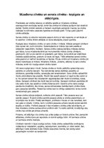 Eseja 'Mūsdienu cilvēks un senais cilvēks - kopīgais un atšķirīgais', 1.