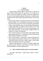 Referāts 'Līderība organizācijā', 4.