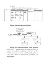 Konspekts 'Grāmatvedības formas, to raksturojums', 3.