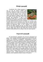 Referāts 'Papagaiļi', 3.