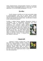 Referāts 'Papagaiļi', 5.