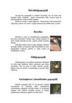 Referāts 'Papagaiļi', 6.