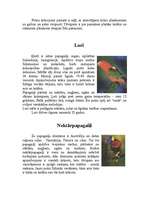 Referāts 'Papagaiļi', 7.