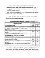 Referāts 'Uzņēmuma ienākuma nodokļa aprēķins un uzskaite grāmatvedībā', 19.