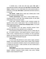 Konspekts 'Balss', 3.