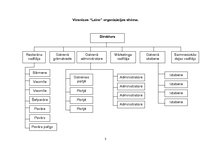 Referāts 'Viesnīcas "Laine" uzņemšanas dienesta darbības analīze', 3.