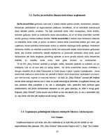 Prakses atskaite 'Praktisko mācību atskaite', 23.