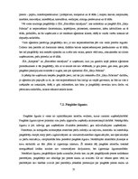 Prakses atskaite 'Praktisko mācību atskaite', 31.