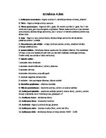 Paraugs 'Scenārija plāns dzimšanas dienas svinībām', 2.