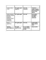 Paraugs 'Scenārija plāns dzimšanas dienas svinībām', 5.