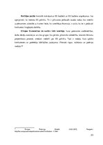 Referāts 'Antimonopolu likumdošana un konkurences veicināšana Latvijā', 23.