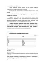 Referāts 'Dinamikas rindu analīzes praktiskā izmantošana mārketinga un reklāmas pētīšanā', 12.