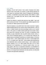 Referāts 'Dinamikas rindu analīzes praktiskā izmantošana mārketinga un reklāmas pētīšanā', 20.