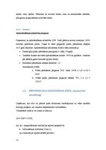 Referāts 'Dinamikas rindu analīzes praktiskā izmantošana mārketinga un reklāmas pētīšanā', 33.