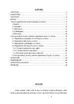 Diplomdarbs 'Resursu izpēte biznesa uzsākšanai transporta pakalpojumu jomā', 7.