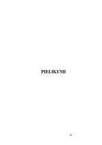 Diplomdarbs 'Resursu izpēte biznesa uzsākšanai transporta pakalpojumu jomā', 51.