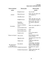 Diplomdarbs 'Resursu izpēte biznesa uzsākšanai transporta pakalpojumu jomā', 54.