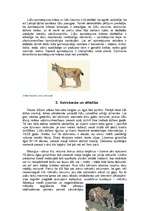 Referāts 'Lūsis', 7.