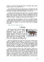 Referāts 'Lūsis', 10.