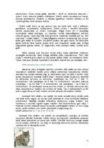 Referāts 'Lūsis', 11.