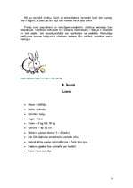 Referāts 'Lūsis', 14.