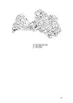 Referāts 'Lūsis', 22.