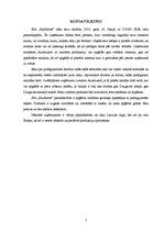 Biznesa plāns 'Biznesa ideja', 5.