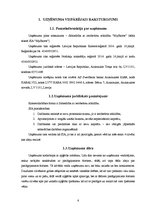 Biznesa plāns 'Biznesa ideja', 6.