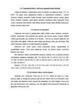 Biznesa plāns 'Biznesa ideja', 7.