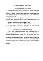 Biznesa plāns 'Biznesa ideja', 10.