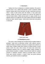 Biznesa plāns 'Biznesa ideja', 11.