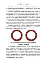 Biznesa plāns 'Biznesa ideja', 12.