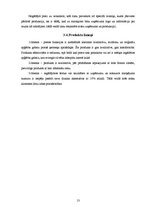 Biznesa plāns 'Biznesa ideja', 13.