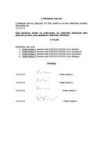 Biznesa plāns 'Biznesa ideja', 29.