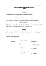 Biznesa plāns 'Biznesa ideja', 30.