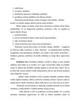 Referāts 'Pirmsskolas vecumposma bērnu psihiskās attīstības raksturojums', 5.