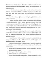 Referāts 'Pirmsskolas vecumposma bērnu psihiskās attīstības raksturojums', 6.