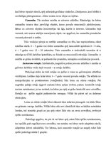 Referāts 'Pirmsskolas vecumposma bērnu psihiskās attīstības raksturojums', 7.