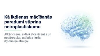 Prezentācija 'Kā ikdienas mācīšanās paradumi stiprina neiroplastiskumu', 1.
