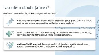 Prezentācija 'Kā ikdienas mācīšanās paradumi stiprina neiroplastiskumu', 3.