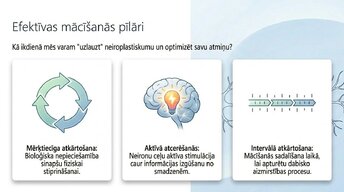 Prezentācija 'Kā ikdienas mācīšanās paradumi stiprina neiroplastiskumu', 5.