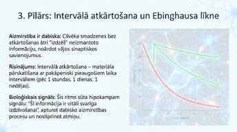 Prezentācija 'Kā ikdienas mācīšanās paradumi stiprina neiroplastiskumu', 8.